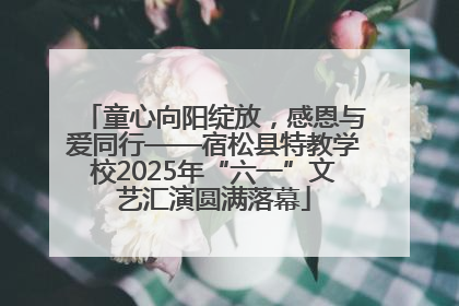 童心向阳绽放，感恩与爱同行——宿松县特教学校2025年“六一”文艺汇演圆满落幕