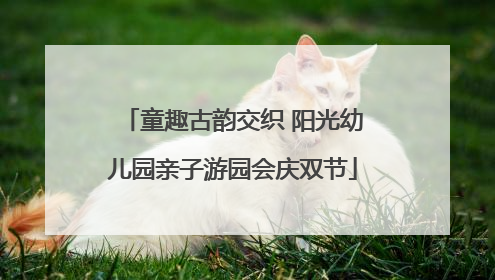 童趣古韵交织 阳光幼儿园亲子游园会庆双节