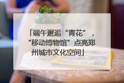 端午邂逅“青花”，“移动博物馆”点亮郑州城市文化空间