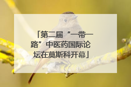 第二届“一带一路”中医药国际论坛在莫斯科开幕
