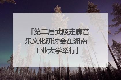 第二届武陵走廊音乐文化研讨会在湖南工业大学举行