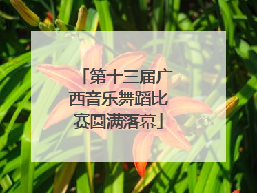 第十三届广西音乐舞蹈比赛圆满落幕