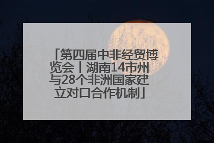 第四届中非经贸博览会丨湖南14市州与28个非洲国家建立对口合作机制