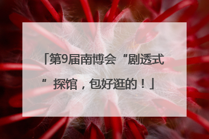 第9届南博会“剧透式”探馆，包好逛的！