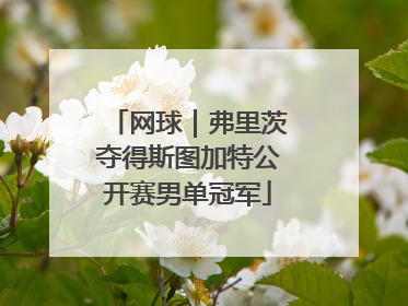 网球｜弗里茨夺得斯图加特公开赛男单冠军