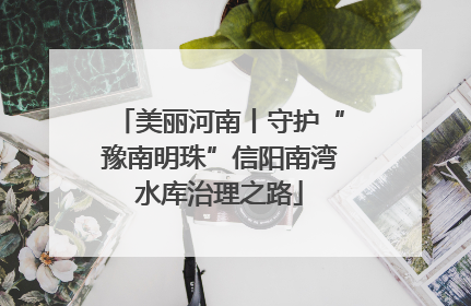 美丽河南丨守护“豫南明珠”信阳南湾水库治理之路