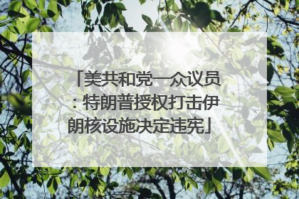 美共和党一众议员：特朗普授权打击伊朗核设施决定违宪