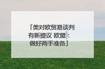 美对欧贸易谈判有新提议 欧盟：做好两手准备