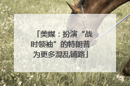 美媒：扮演“战时领袖”的特朗普为更多混乱铺路