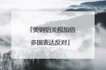美钢铝关税加倍 多国表达反对