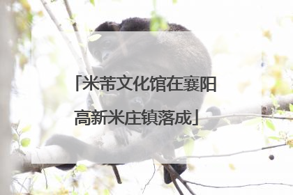 米芾文化馆在襄阳高新米庄镇落成