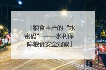 粮食丰产的“水密码”——水利保障粮食安全观察