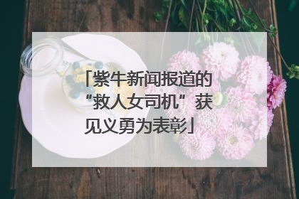 紫牛新闻报道的“救人女司机”获见义勇为表彰