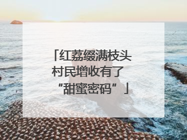 红荔缀满枝头 村民增收有了“甜蜜密码”