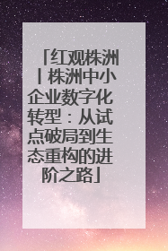 红观株洲丨株洲中小企业数字化转型：从试点破局到生态重构的进阶之路