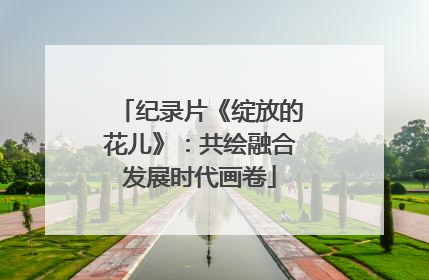 纪录片《绽放的花儿》：共绘融合发展时代画卷