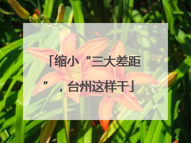 缩小“三大差距”，台州这样干