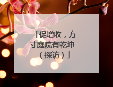 促增收，方寸庭院有乾坤（探访）