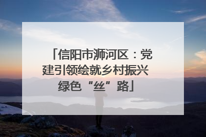 信阳市浉河区：党建引领绘就乡村振兴绿色“丝”路