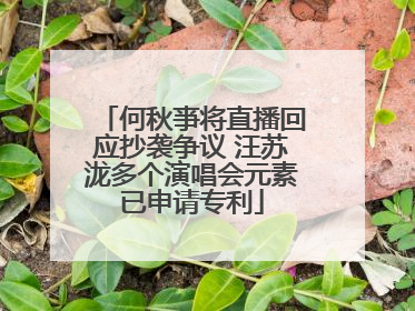何秋亊将直播回应抄袭争议 汪苏泷多个演唱会元素已申请专利