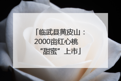 临武县黄皮山：2000亩红心桃“甜蜜”上市