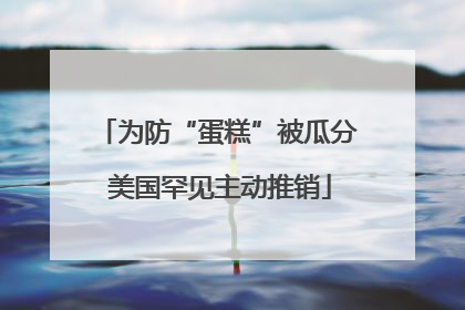 为防“蛋糕”被瓜分 美国罕见主动推销