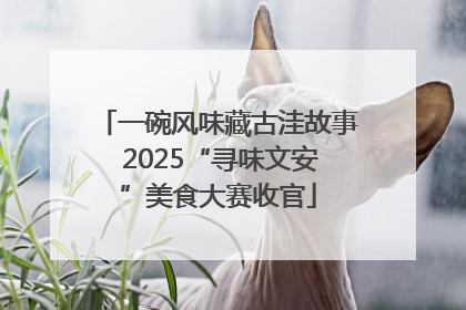 一碗风味藏古洼故事 2025“寻味文安”美食大赛收官
