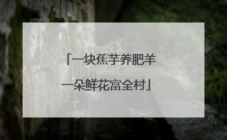 一块蕉芋养肥羊 一朵鲜花富全村