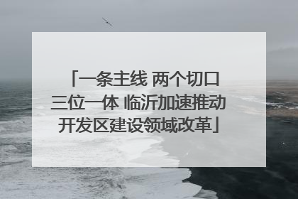 一条主线 两个切口 三位一体 临沂加速推动开发区建设领域改革