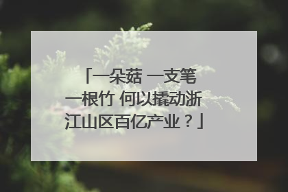 一朵菇 一支笔 一根竹 何以撬动浙江山区百亿产业？