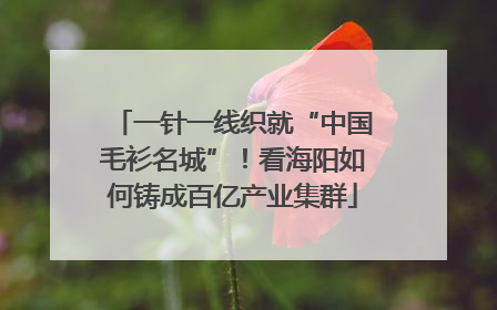 一针一线织就“中国毛衫名城”！看海阳如何铸成百亿产业集群