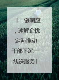 一链响应，速解企忧 定海推动干部下沉一线送服务