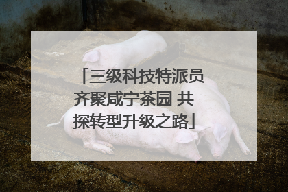 三级科技特派员齐聚咸宁茶园 共探转型升级之路