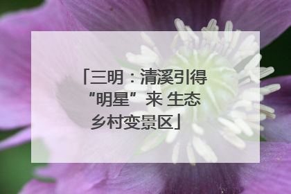 三明：清溪引得“明星”来 生态乡村变景区