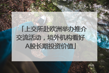 上交所赴欧洲举办推介交流活动，境外机构看好A股长期投资价值