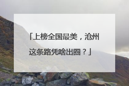 上榜全国最美，沧州这条路凭啥出圈？