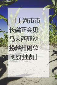 上海市市长龚正会见马来西亚沙捞越州副总理沈桂贤