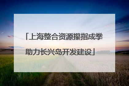 上海整合资源攥指成拳助力长兴岛开发建设