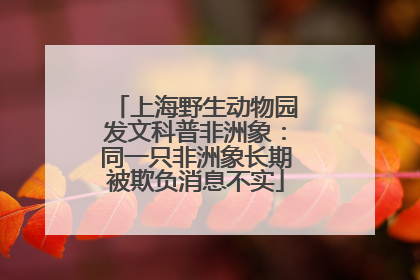 上海野生动物园发文科普非洲象：同一只非洲象长期被欺负消息不实