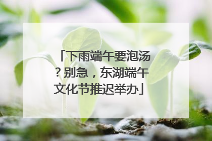 下雨端午要泡汤？别急，东湖端午文化节推迟举办