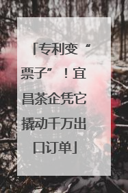 专利变“票子”！宜昌茶企凭它撬动千万出口订单