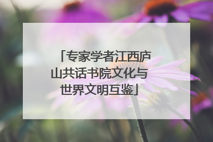 专家学者江西庐山共话书院文化与世界文明互鉴