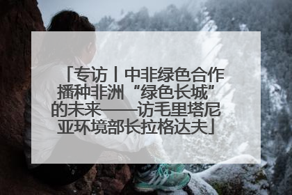 专访丨中非绿色合作播种非洲“绿色长城”的未来——访毛里塔尼亚环境部长拉格达夫