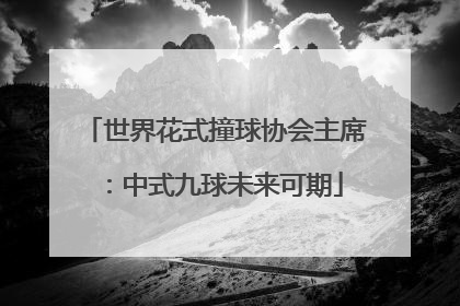 世界花式撞球协会主席：中式九球未来可期