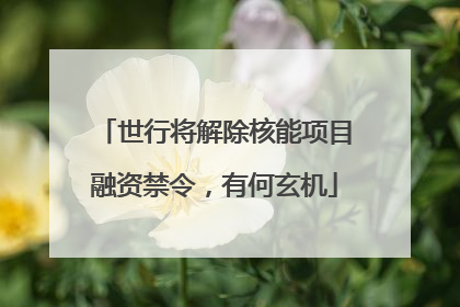 世行将解除核能项目融资禁令，有何玄机