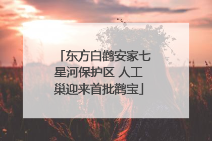 东方白鹳安家七星河保护区 人工巢迎来首批鹳宝