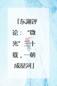 东湖评论：“微光”三十载，一朝成星河