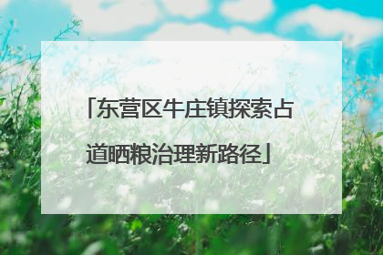 东营区牛庄镇探索占道晒粮治理新路径
