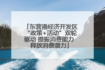 东营港经济开发区“政策+活动”双轮驱动 提振消费能力 释放消费潜力
