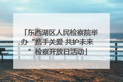 东西湖区人民检察院举办“携手关爱 共护未来”检察开放日活动